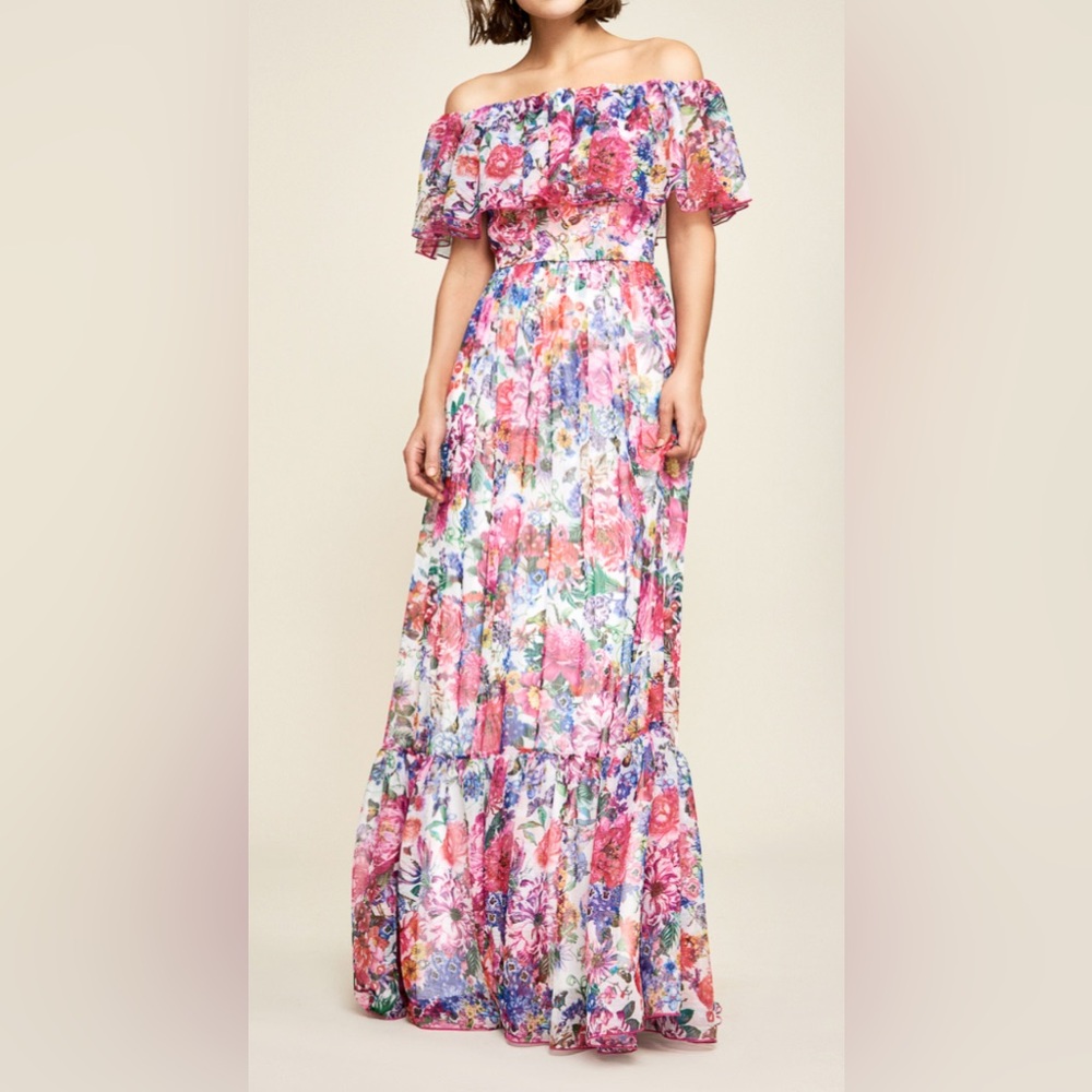 NWT Tadashi Shoji Paola Floral Print Maxi Dress Size 12